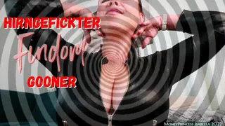 Hirngefickter Findom Gooner