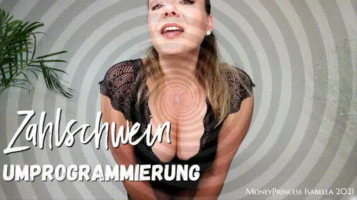 Zahlschwein Umprogrammierung