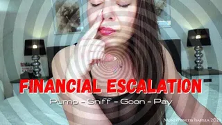 Financial Escalation