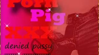 PORN pig