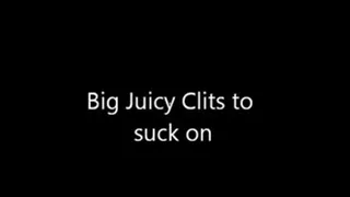 Big juicy clits to suck on