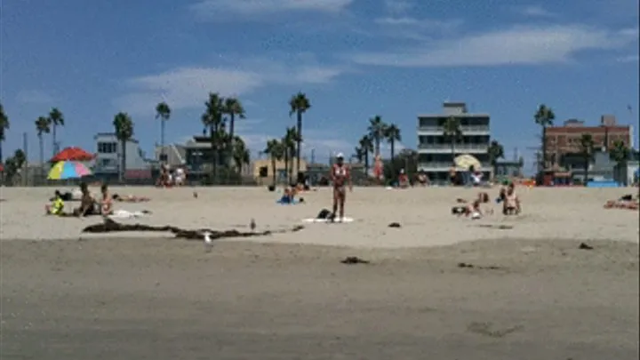 on the beach venice beach this afternoon