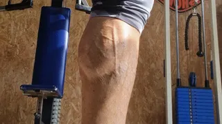 More Calves for you?