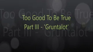 Too Good To Be True Part III - 'Gruntalot'