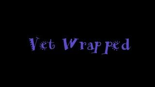 Vet Wrapped