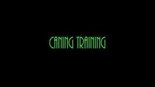 Caning Training