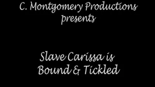 Slave Carissa is Bound & Tickled
