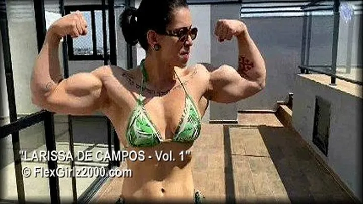 LARISSA DE CAMPOS - Volume 1