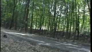 Young Slut fingered in the Woods
