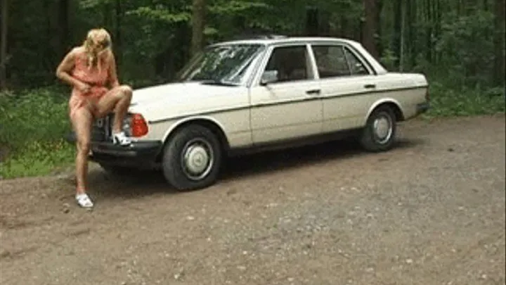 Mature couple fucking in a car in the woods