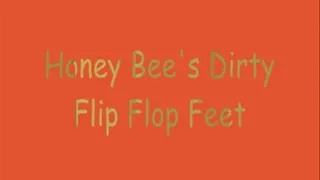 Honey Bee's Flip Flop Tease