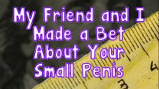 We Made a Bet About Your Small Penis