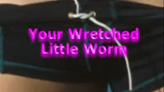 Your Wretched Little Worm Makes Me Want to Puke