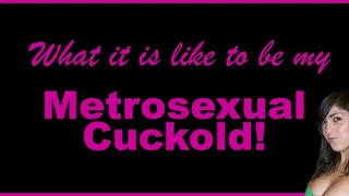 My Metrosexual Cuckold