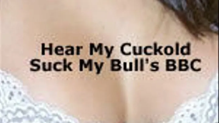 My Cuckold Sucks Cock for Me