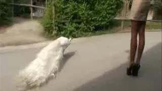 HOW TO FEED A PEACOCK IN MEGA HIGH HEELS WITH POPCORN