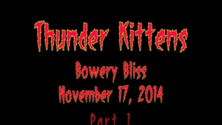 TK297A THUNDER KITTENS : INTERNATIONAL EXTRAVEGANZA