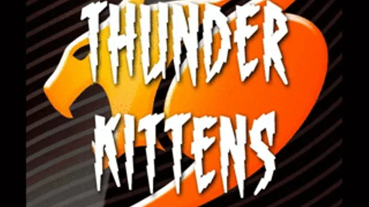 THUNDER KITTENS