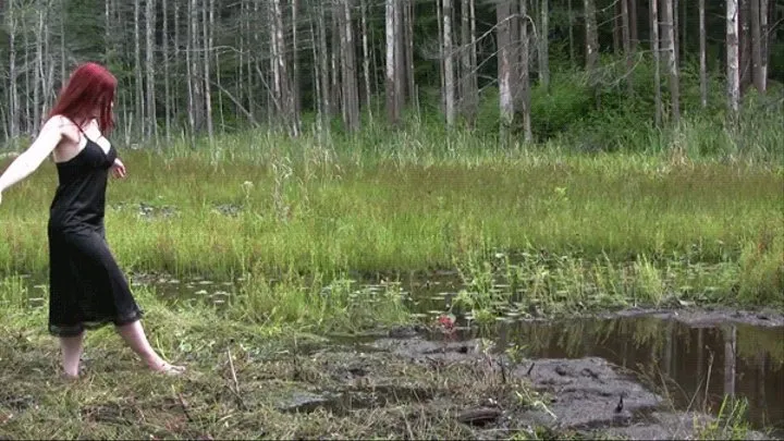 Witch Of The Bog