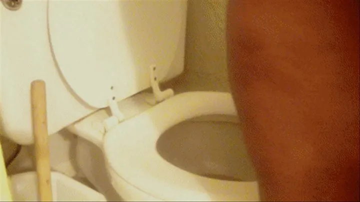 Belly Aching, Nasty Fiber Toilet Farts, &!