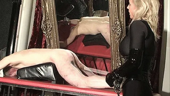 Whipping Session with Mistress Dani - 1