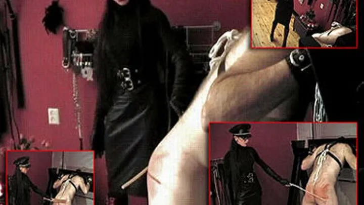 Whipping Sessions with Mistress Tara - 1