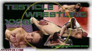 Testicle Wrestling XXXII