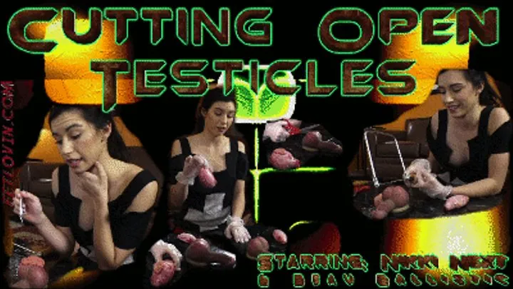 Cutting Open Testicles - Mobile