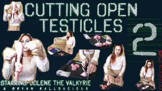 Cutting Open Testicles 2