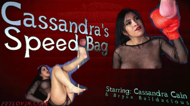 Cassandra's Speed Bag