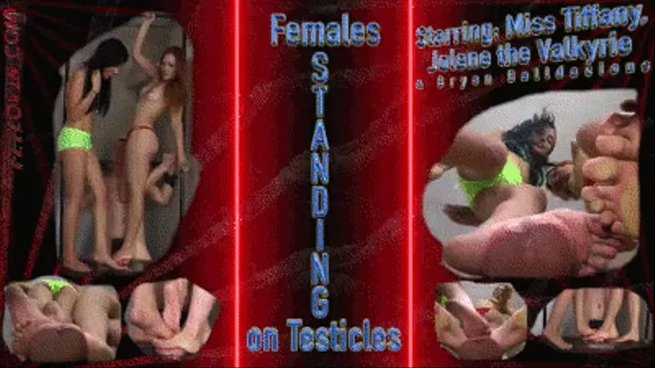 Females Standing on Testicles