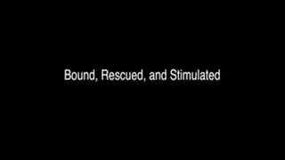 Bound, Rescued, and Stimulated by Jay