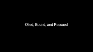 Oiled, Bound, and Rescued