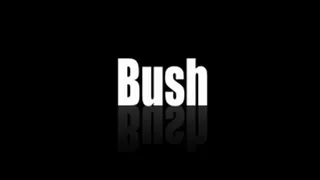 RIP Bush