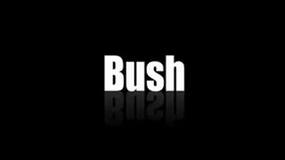 RIP Bush