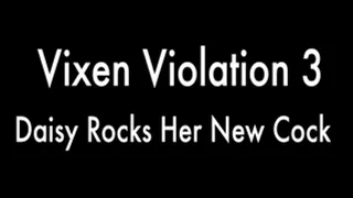 Vixen Violation 3 - Daisy Rocks Her New Cock