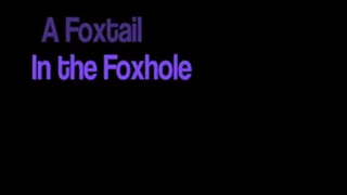 A Foxtail in the Foxhole
