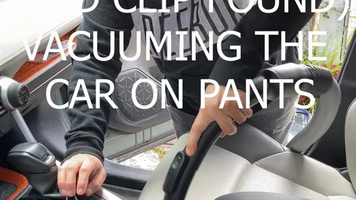 OLD CLIP FOUND, KG VACUUMING CAR ON PANTS (vertical format)