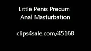 Small Dick Anal Masturbation User