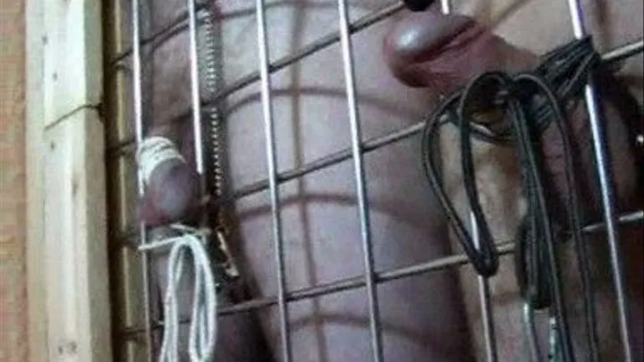 Caged Cocks Pt2