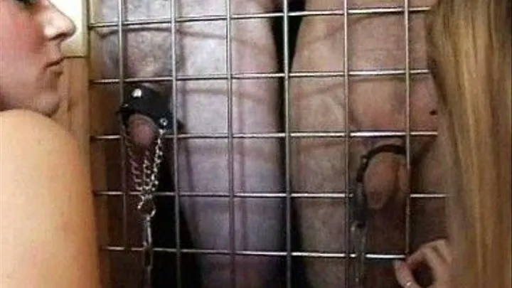 Caged Cocks Pt1