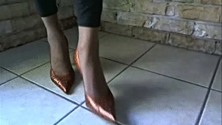 Bronze High Heel shoe play