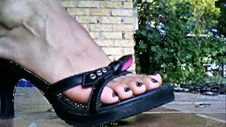 Black Mules up close dangle