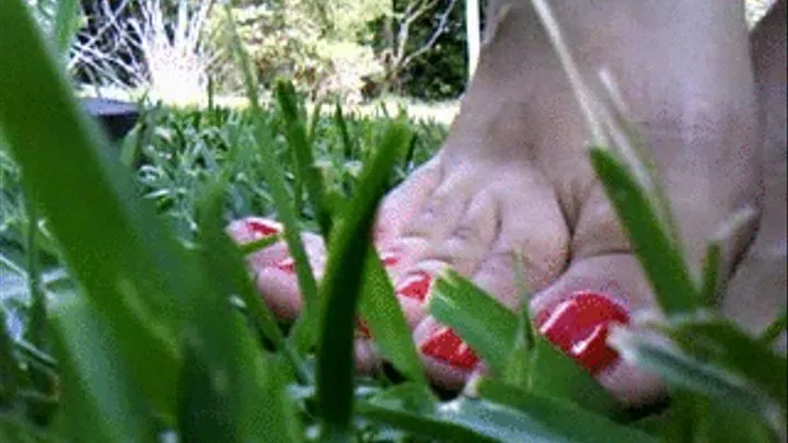 barefoot outside 1 of 3