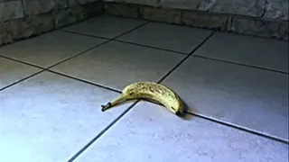 Banana Crush in Flip Flops
