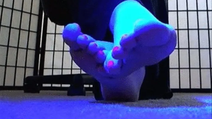 Queen Kitty's Foot Fetish Mindf*ck