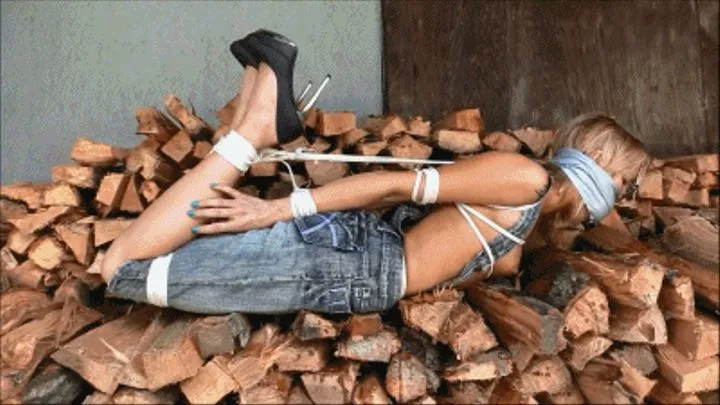 All She Had To Do Was Stack The Firewood (6500kbps High Quality )