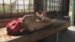 The Interrogation Of A Spy Hogtied On The Bench In The Hot Sun (6000kbps High Quality )