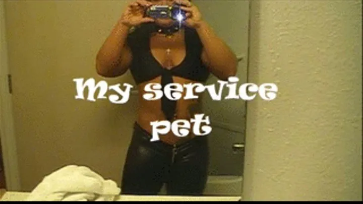 My service pet