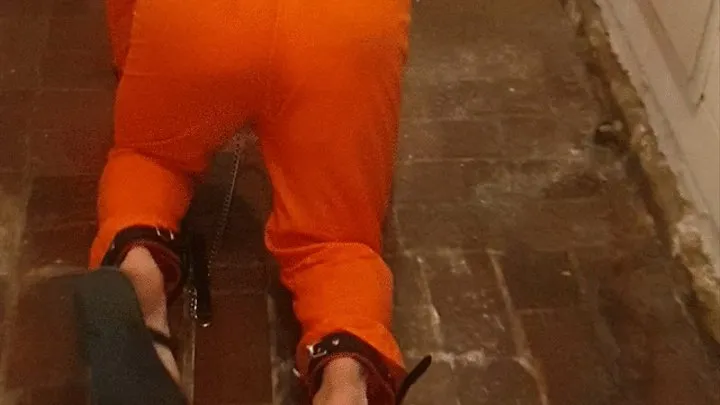 Owned slave crawling to his prison cell